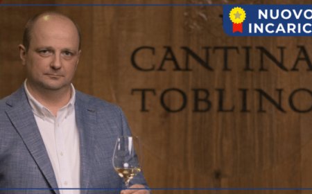 Denis Andreis è il nuovo Direttore Generale di Cantina Toblino
