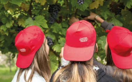 Cantina Valpolicella Negrar premia la “La Scuola nel Vigneto”