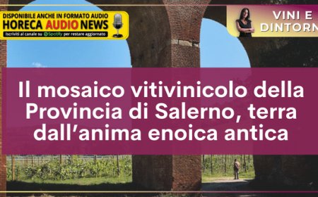Il mosaico vitivinicolo della Provincia di Salerno, terra dall’anima enoica antica
