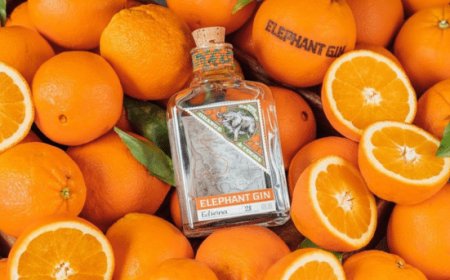 Elephant Gin ottiene la certificazione B Corp