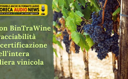 Con BinTraWine tracciabilità e certificazione dell’intera filiera vinicola