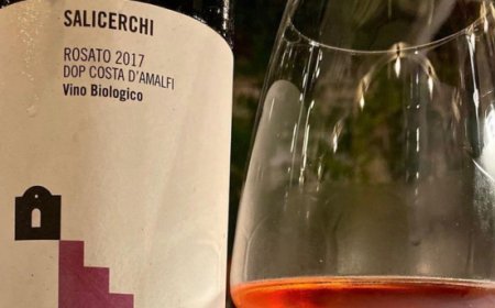 Andrea Moscariello "Wine Selection": Raffaele Palma e il suo "Salicerchi Rosè", una perla della Costiera Amalfitana