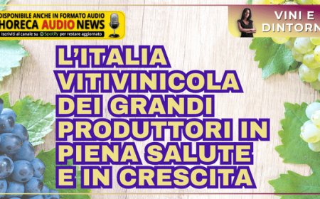 L’Italia vitivinicola dei grandi produttori in piena salute e in crescita
