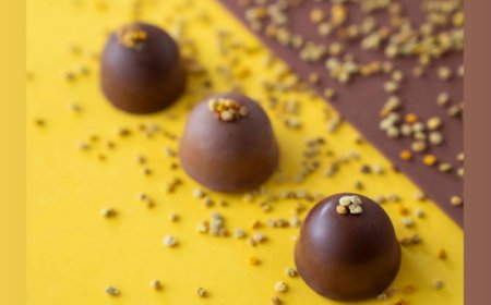 Gusto 17 presenta la limited edition di bon bon gelato “bee-flavours”