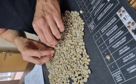 Alla Bloom Coffee School arriva il corso in lingua italiana "Q Arabica Grader"