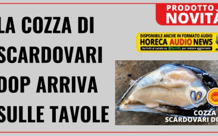 La Cozza di Scardovari DOP arriva sulle tavole