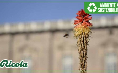 Ricola special partner del progetto Autostrada delle Api