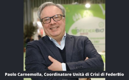 Maxi frode sul riso biologico. FederBio: massima fiducia a inquirenti e Magistratura