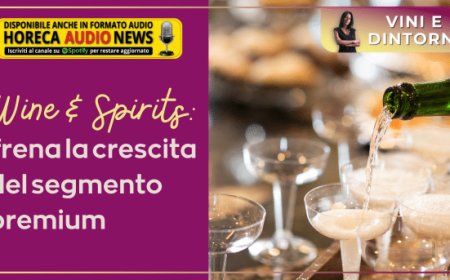 Wine & Spirits: frena la crescita del segmento premium