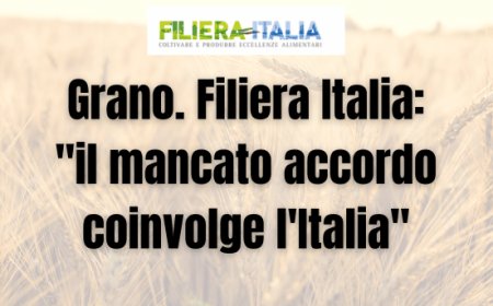 Grano. Filiera Italia: "il mancato accordo coinvolge l'Italia"