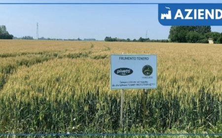 Molini Pivetti presenta la nuova sezione del proprio sito web