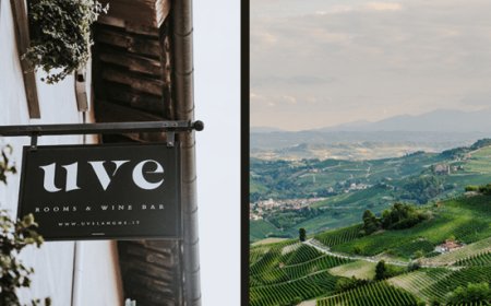 Uve Rooms & Wine Bar, respiro green sui vigneti delle Langhe