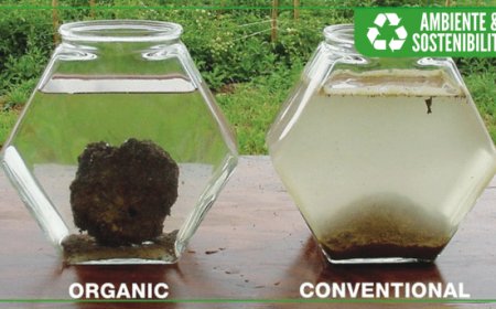 It’s Bio: investire sul biologico per limitare l'impatto del cambiamento climatico