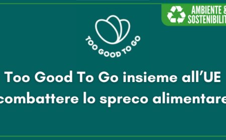Too Good To Go insieme all’UE combattere lo spreco alimentare