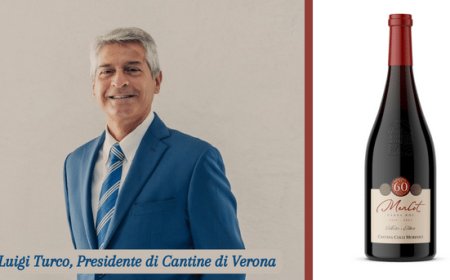Cantine di Verona celebra le sessanta vendemmie di Cantina Colli Morenici con una limited edition