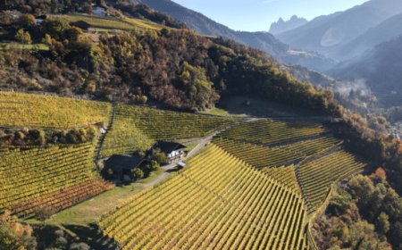 Tutto pronto per Enovitis Extrême, protagonista la viticoltura eroica