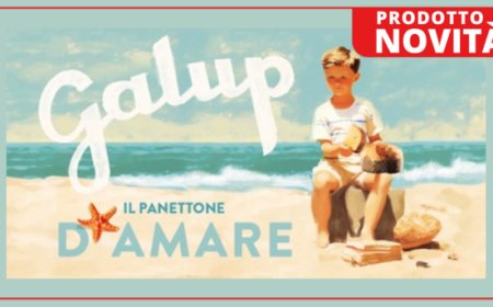 Estate 2023, Galup lancia il panettone D'AMARE