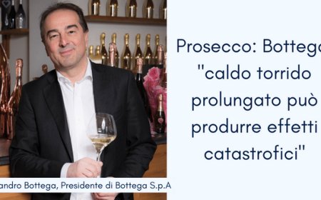Prosecco: Bottega, "caldo torrido prolungato può produrre effetti catastrofici"