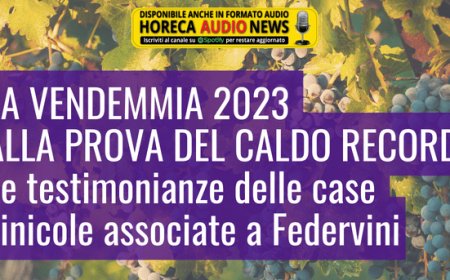 La vendemmia 2023 alla prova del caldo record. Le testimonianze delle case vinicole associate a Federvini