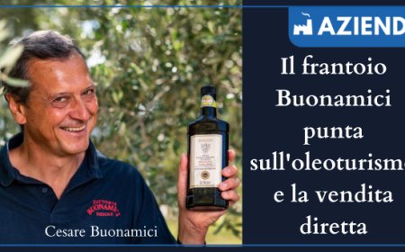 Il frantoio Buonamici punta sull'oleoturismo e la vendita diretta