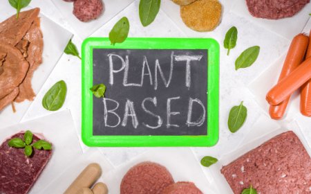 UIF. DDL cibo sintetico: cambiare nome ai prodotti a base vegetale confonde i consumatori