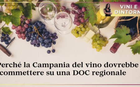 Perché la Campania del vino dovrebbe scommettere su una DOC regionale
