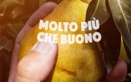 “Andiamo dritti al succo”, la nuova nuova campagna radio di Yoga