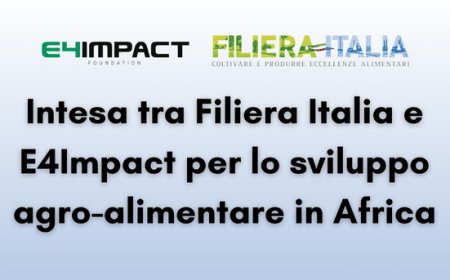 Intesa tra Filiera Italia e E4Impact per lo sviluppo agro-alimentare in Africa