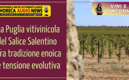 La Puglia vitivinicola del Salice Salentino fra tradizione enoica e tensione evolutiva