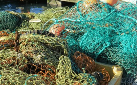 Coldiretti: stop al pesce fresco, scatta il fermo pesca