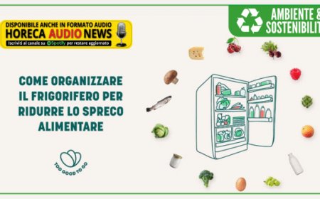 Come conservare il cibo in frigorifero? Alcuni consigli di Too Good To Go per contrastare lo spreco alimentare estivo
