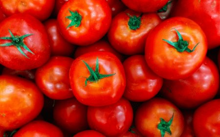 Filiera Italia: bloccare le importazioni di concentrato di pomodoro cinese