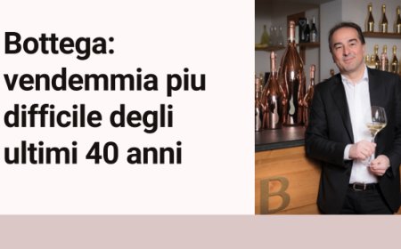Bottega: vendemmia piu difficile degli ultimi 40 anni
