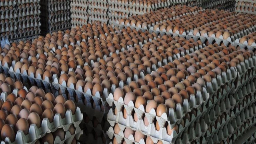 Uova: fipronil e aviaria mettono a dura prova l'industria dolciaria