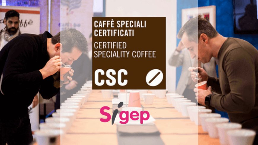 Caffè Speciali Certificati main sponsor del Campionato italiano di Cup Tasting