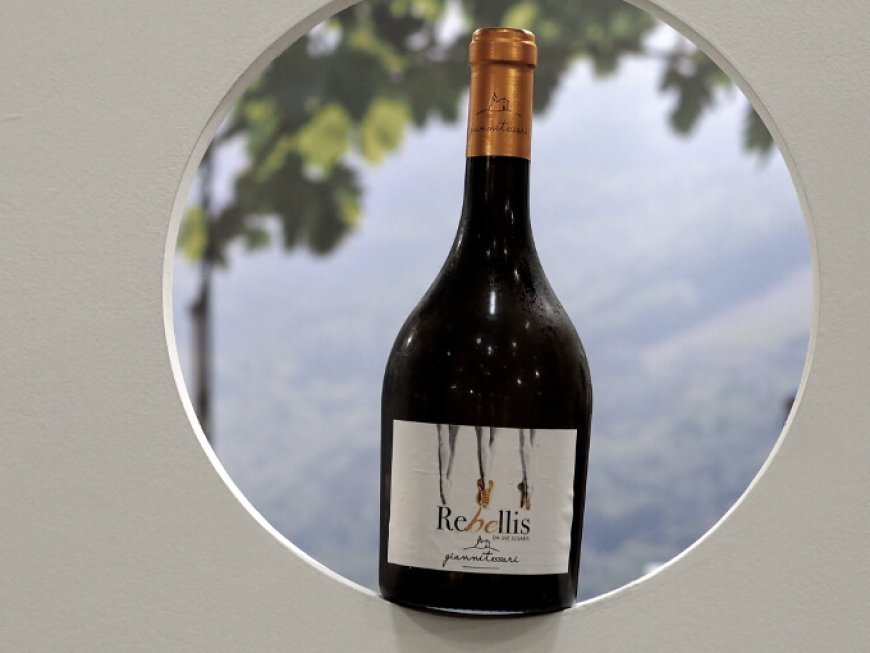 Nasce Rebellis, il nuovo vino da uve Solaris della cantina Giannitessari