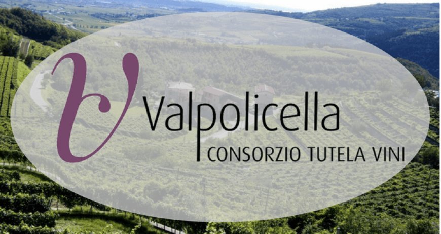Il Consorzio Tutela Vini Valpolicella presenta il bilancio 2017