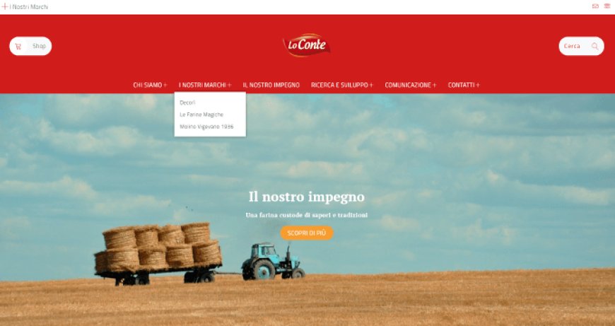Online la nuova piattaforma multi-site del Gruppo Lo Conte