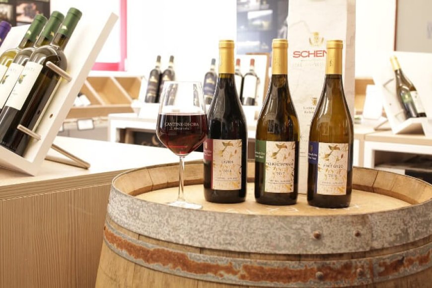 Schenk Italian Wineries apre le sue porte ai wine lovers