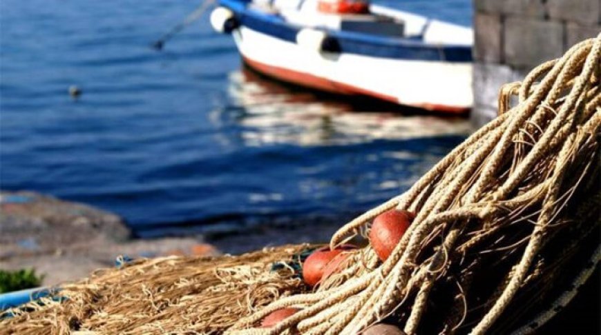 Fermo pesca 2018: firmato il decreto per lo stop delle attività nell'Adriatico
