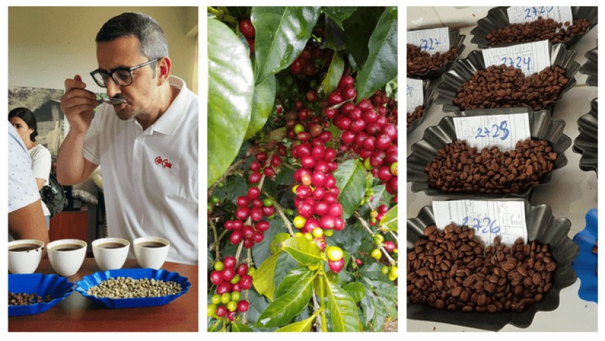 Caffè Gioia vola in Perù alla ricerca di Specialty Coffee