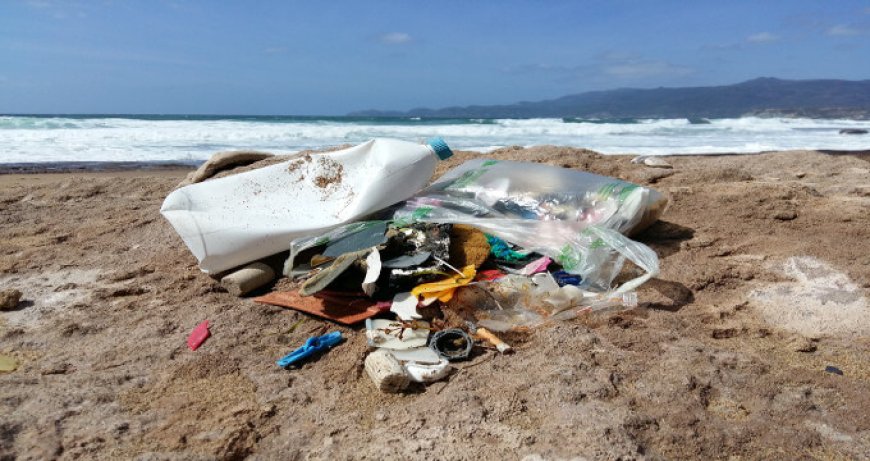 In Sardegna un hotel offre due calici di Malvasia a chi raccoglie plastica dalle spiagge