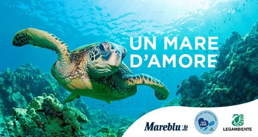 Mareblu per Tartalove: un concorso per salvare le tartarughe