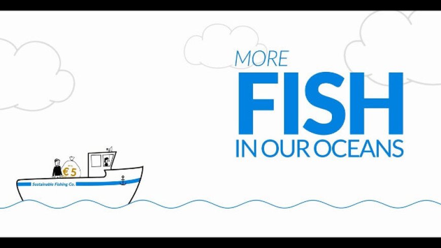 La piattaforma Catchy Data mostra i vantaggi della pesca sostenibile
