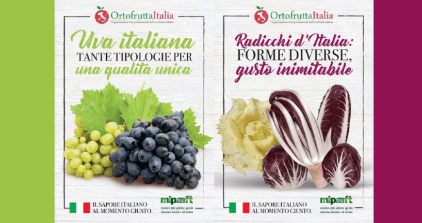 Ortofrutta Italia: al via la campagna per la promozione dei prodotti di stagione