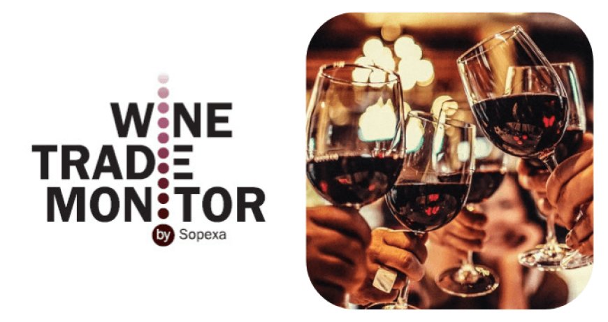 Wine Trade Monitor 2018: vini francesi al top, avanzano i vini bio
