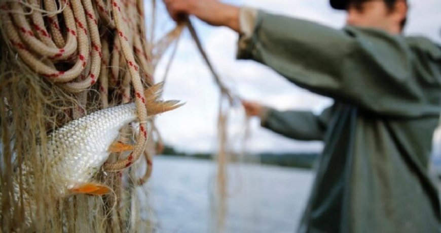 Finisce il Fermo Pesca: si torna a pescare nell'Adriatico
