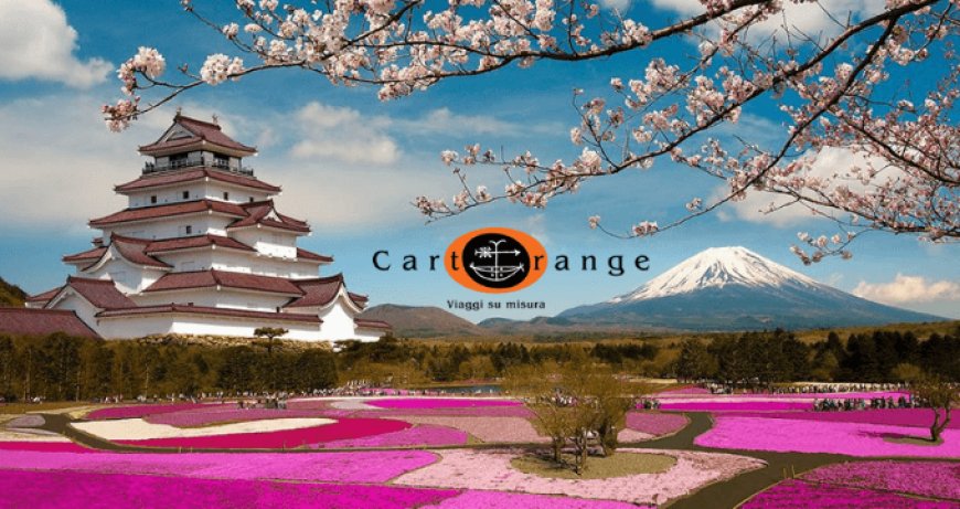 CartOrange: l'incontro fra online e offline premia l'azienda dei consulenti di viaggio