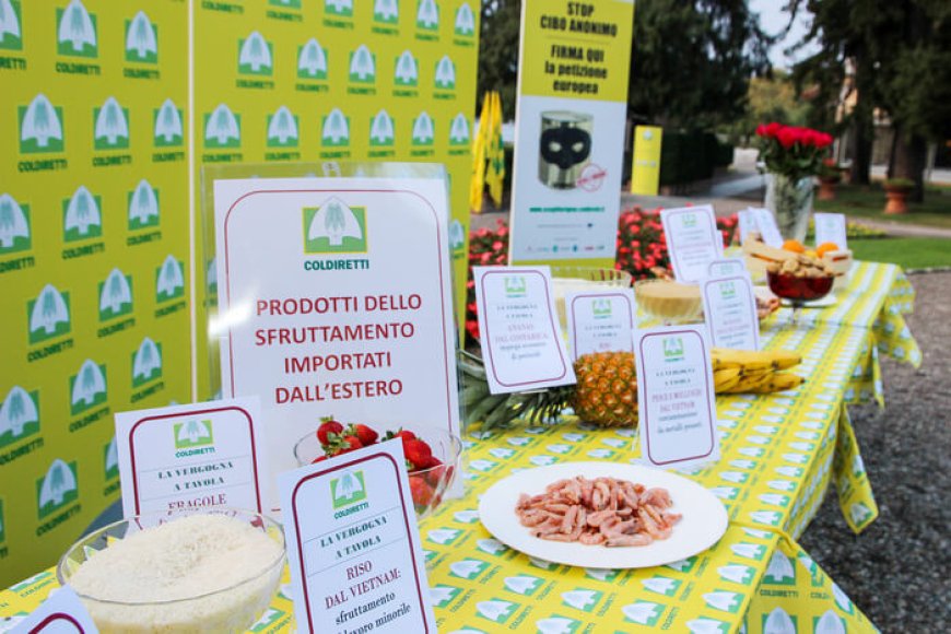 Coldiretti segnala: il 20% del cibo straniero che arriva in Italia è fuorilegge