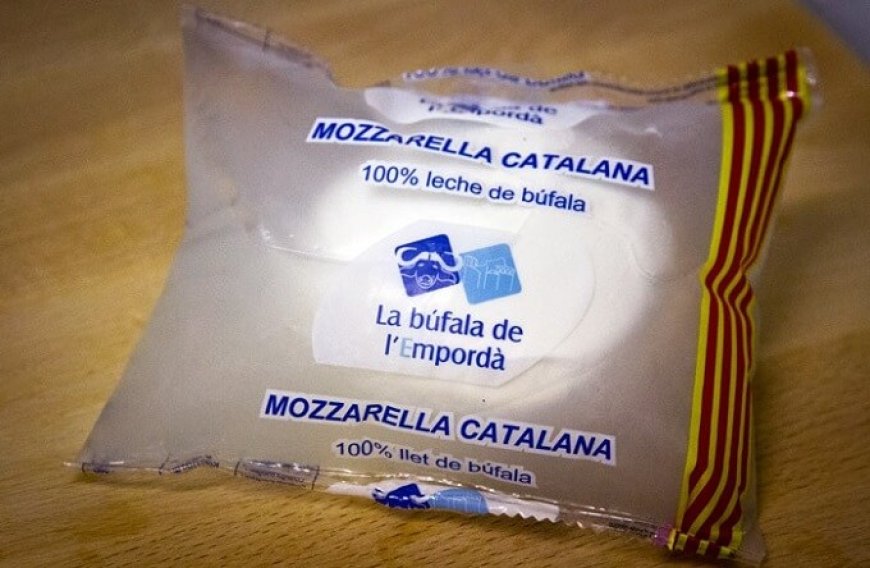 Falsa mozzarella di bufala in Spagna: intervento tempestivo dell'ICQRF